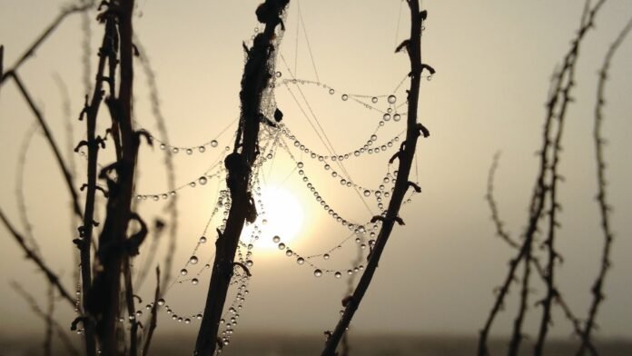 Accessorizing 101: Basics of Elevating Your Look